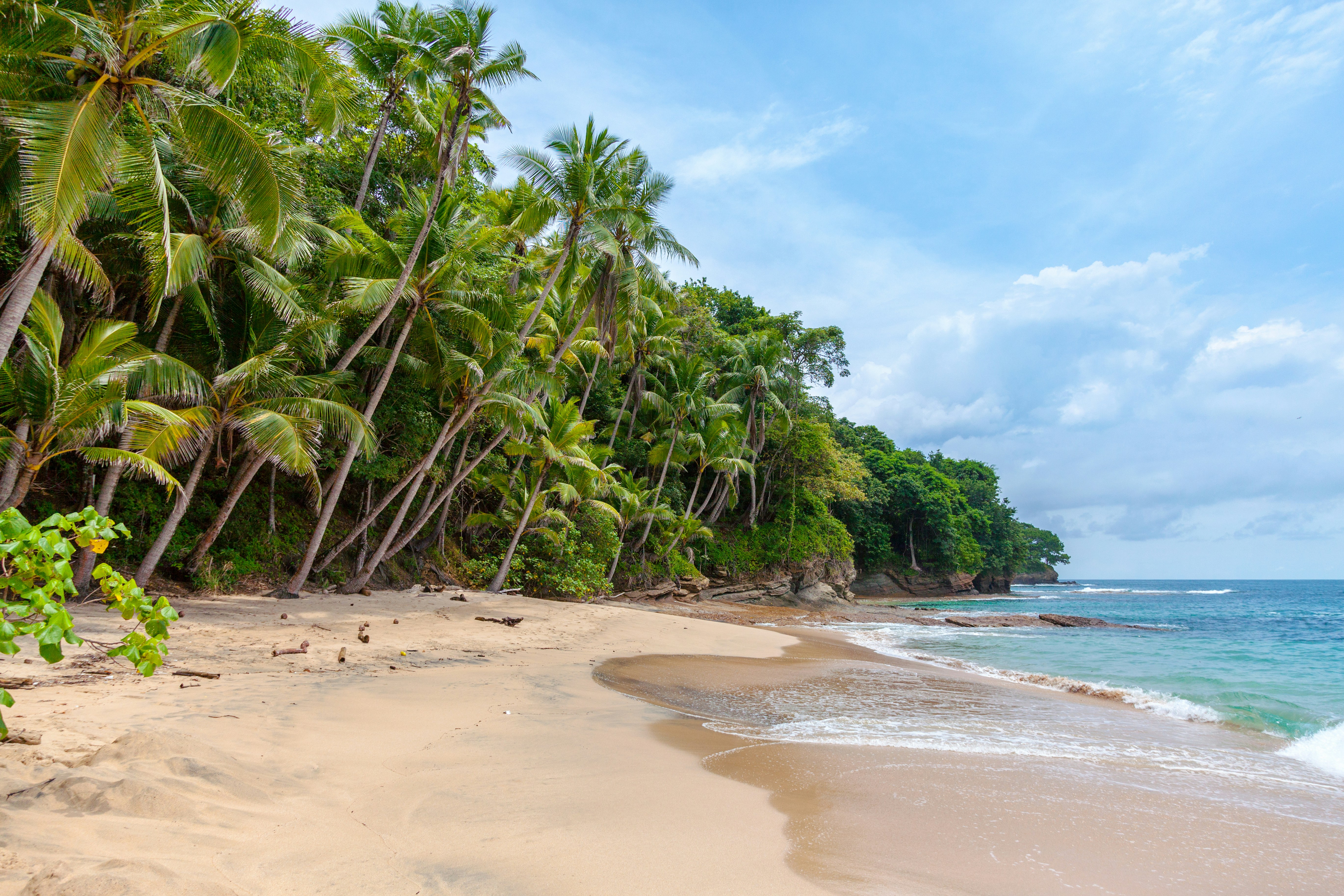 Costa de Costa Rica