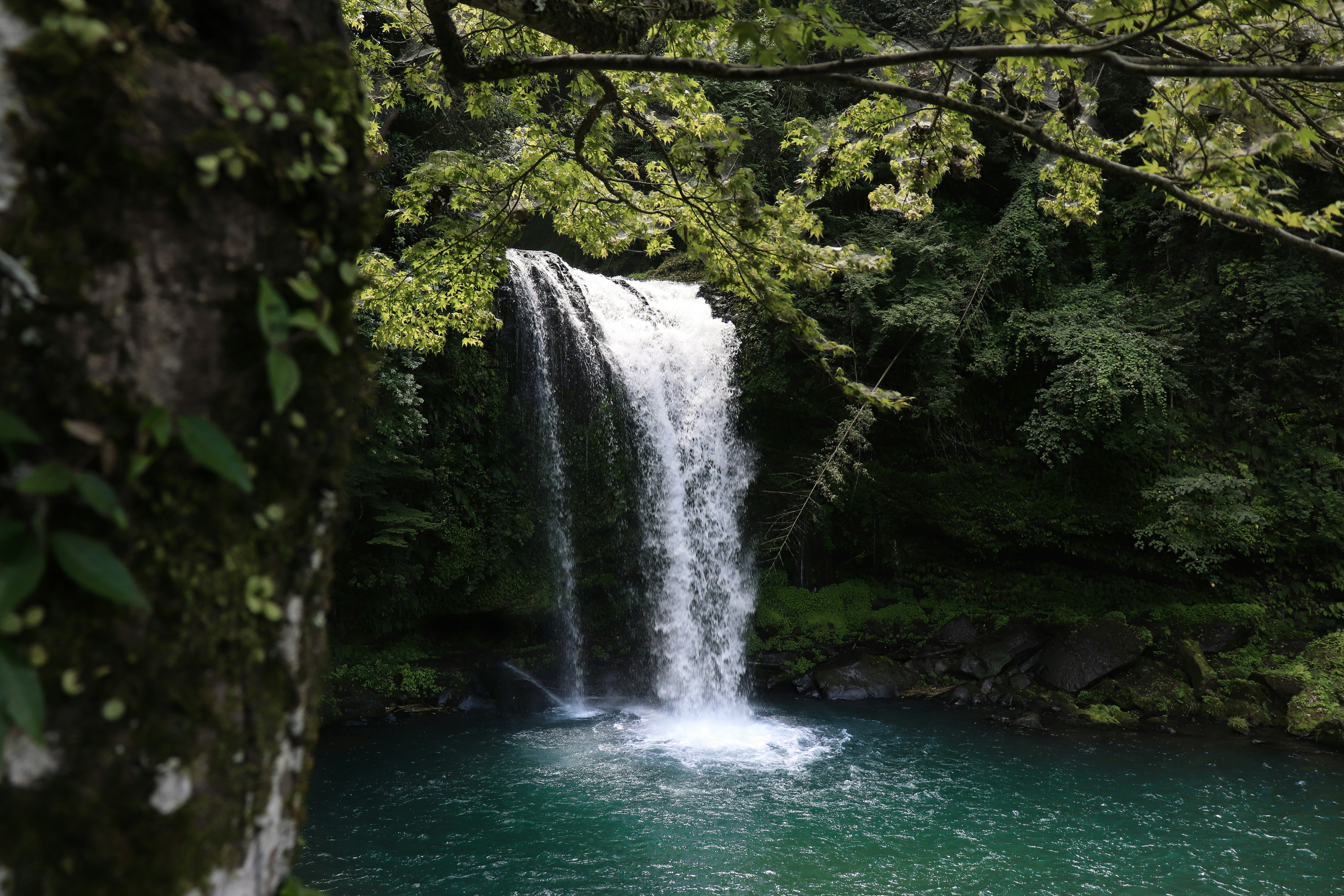 Catarata