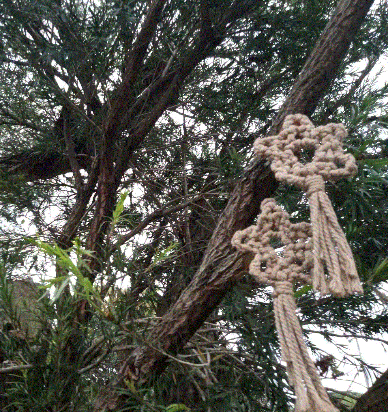 Tapiz decorativo de macramé hecho a mano en Costa Rica para estilo boho en paredes